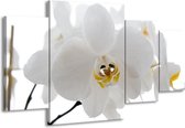 GroepArt - Schilderij -  Orchidee - Wit, Geel,, Zwart - 160x90cm 4Luik - Schilderij Op Canvas - Foto Op Canvas