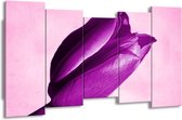 GroepArt - Canvas Schilderij - Tulp - Paars, Wit, Zwart - 150x80cm 5Luik- Groot Collectie Schilderijen Op Canvas En Wanddecoraties