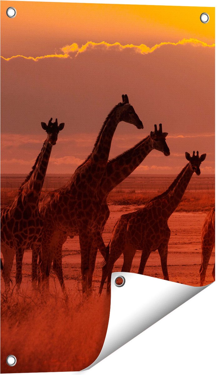 Gards Tuinposter Giraffe Kudde bij Zonsondergang - 40x60 cm - Tuindoek - Tuindecoratie - Wanddecoratie buiten - Tuinschilderij Multikleur