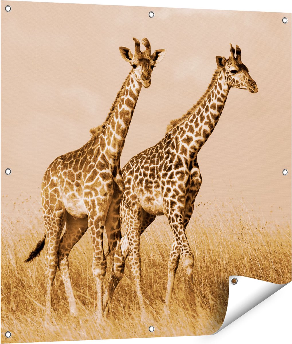 Gards Tuinposter Twee Giraffes in het Veld - 90x90 cm - Tuindoek - Tuindecoratie - Wanddecoratie buiten - Tuinschilderij Multikleur