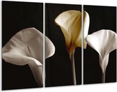 Glasschilderij Bloem - Geel, Wit, Zwart - 120x80cm 3Luik - Foto Op Glas - Geen Acrylglas Schilderij - GroepArt 6000+ Glas Art Collectie - Maatwerk Mogelijk