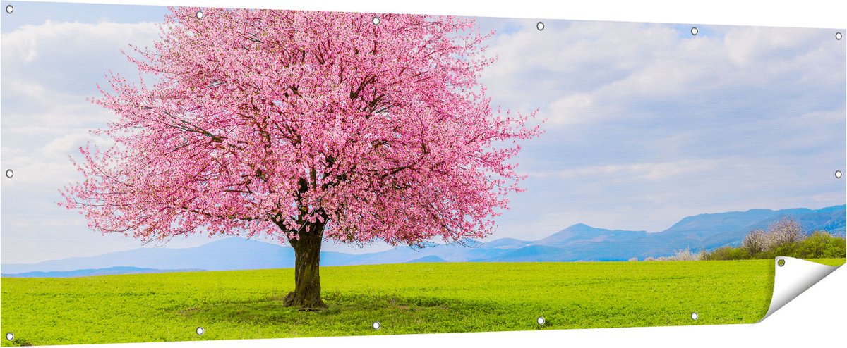 Gards Tuinposter Roze Sakura Bloesem Boom in het Groene Veld - 210x70 cm - Tuindoek - Tuindecoratie - Wanddecoratie buiten - Tuinschilderij Multikleur