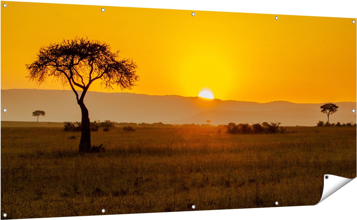 Gards Tuinposter Zonsopgang in de Savanne met een Boom - 200x100 cm - Tuindoek - Tuindecoratie - Wanddecoratie buiten - Tuinschilderij Multikleur