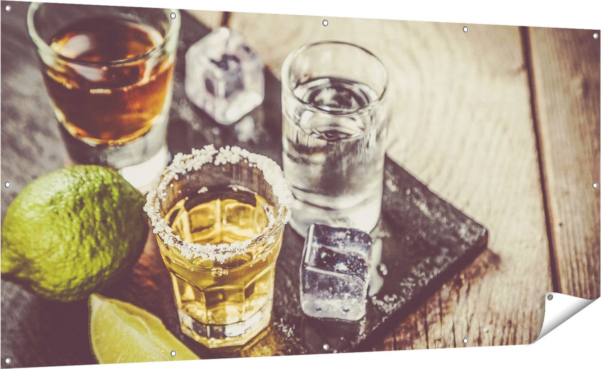 Gards Tuinposter Alcoholische Drankjes - Drank - 200x100 cm - Tuindoek - Tuindecoratie - Wanddecoratie buiten - Tuinschilderij Multikleur