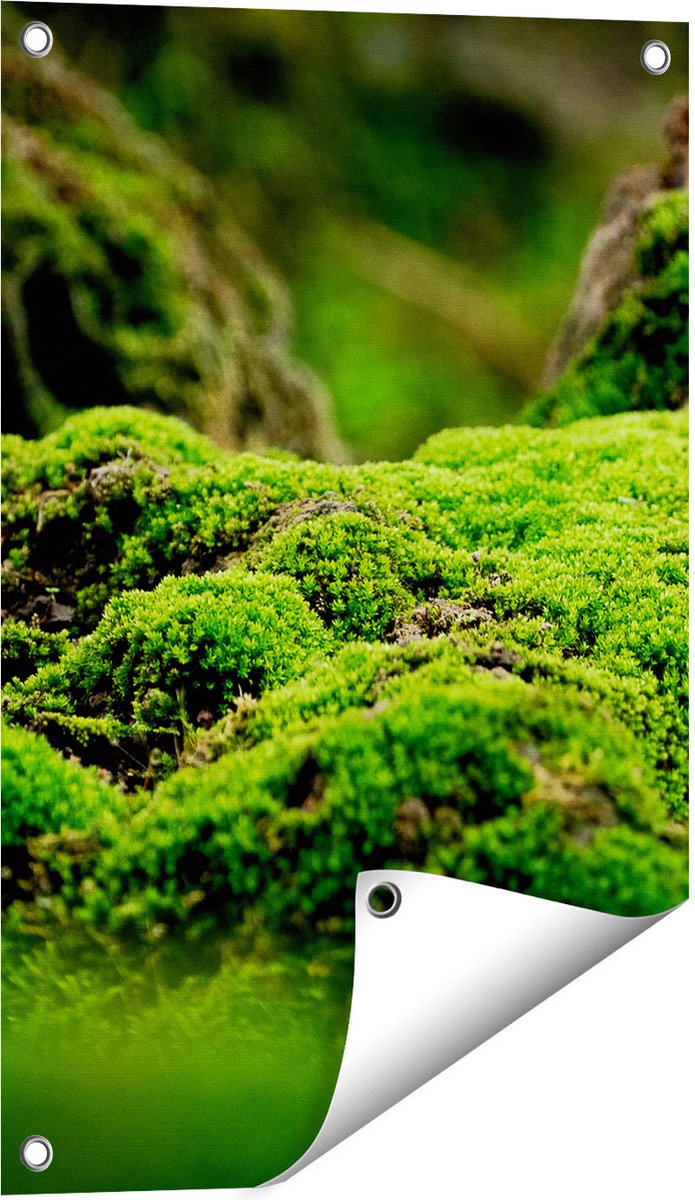 Gards Tuinposter Groen Mos - 40x60 cm - Tuindoek - Tuindecoratie - Wanddecoratie buiten - Tuinschilderij Multikleur