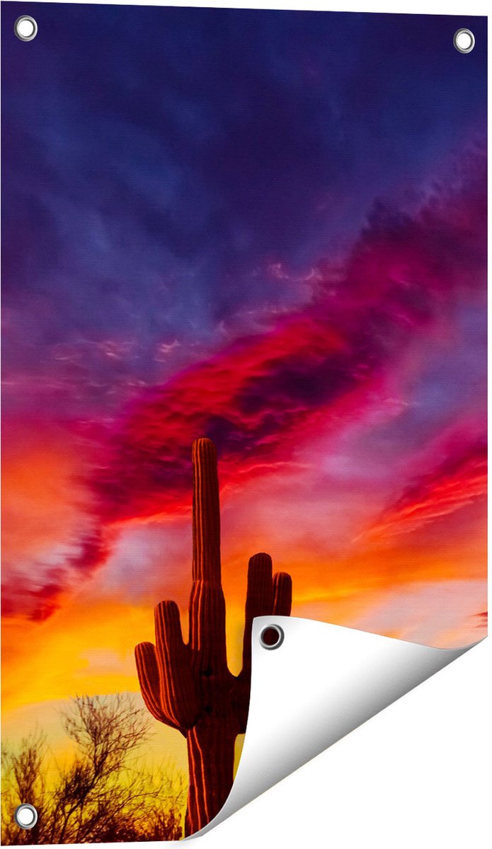Gards Tuinposter Cactus bij Oranje Zonsondergang - 40x60 cm - Tuindoek - Tuindecoratie - Wanddecoratie buiten - Tuinschilderij Multikleur