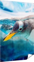 Gards Tuinposter Pingu�n Zwemt onder Water - 120x180 cm - Tuindoek - Tuindecoratie - Wanddecoratie buiten - Tuinschilderij