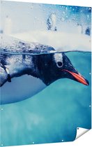 Gards Tuinposter Pingu�n Zwemt in het Water - 120x160 cm - Tuindoek - Tuindecoratie - Wanddecoratie buiten - Tuinschilderij