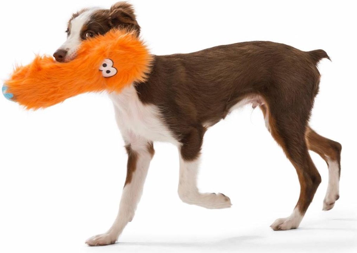Sterk & Wasbaar Speelgoed voor Honden | bol.com