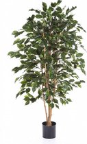 Ficus kunstplant medium
