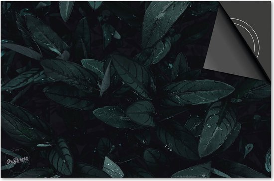 Protecteur induction 76x51,5 - plaque de recouvrement tapis induction - Protecteur plaque Dietrix - Socle - Feuilles - 16 Feuilles avec gouttes