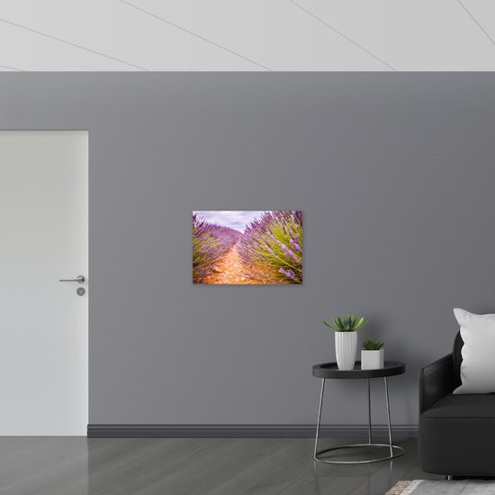 WallClassics – Drapeau – Chemin de pierre dans un champ de Lavande – 75 x 50 cm Photo sur drapeau en polyester