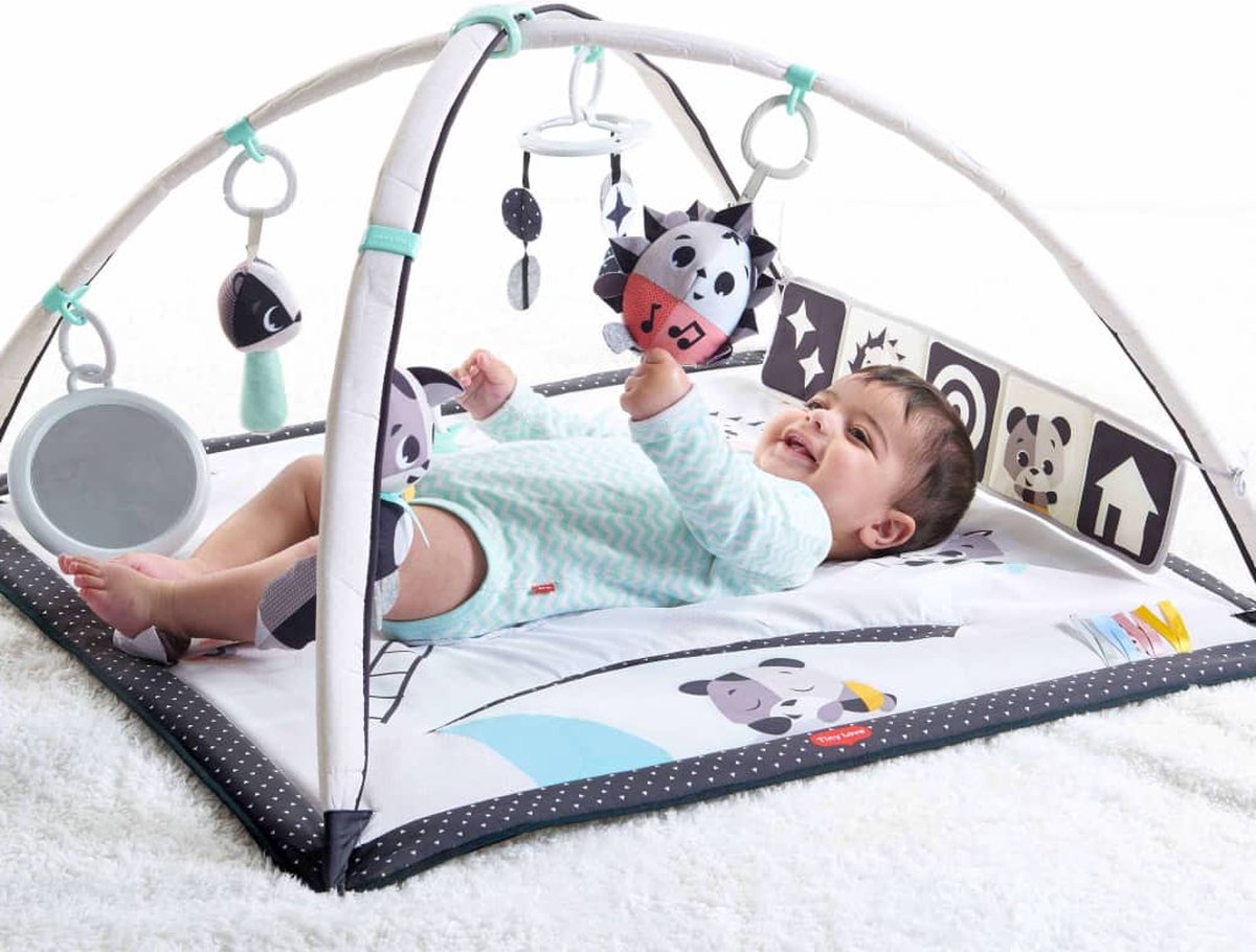 Tiny love cheap play mat