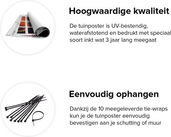 Affiche de jardin Gards transparente Forêt d'automne Oranje avec soleil - 180x120 cm - Toile de jardin - Décoration de jardin - Décoration murale extérieur - Tableau de jardin