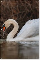 Tuinposter - Tuindoek - Tuinposters buiten - Zwaan - Water - Dieren - Vogel - 80x120 cm - Tuin