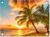 Tuinposter zonsondergang - Tuindecoratie tropisch strand - 40x30 cm - Tuinschilderij voor buiten - Tuindoek palmboom beach - Wanddecoratie tuin - Schuttingdoek - Balkon decoratie - Muurdecoratie - Buitenschilderij