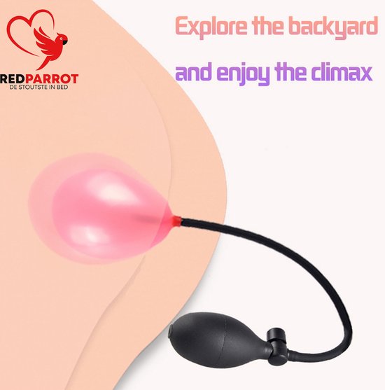pretty love plug anal Plug anal débutant Addicted Toys 12cm
