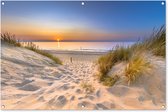 Affiche jardin - Toile jardin - Posters de jardin extérieur - Dune - Coucher de soleil - Horizon - Plage - Herbe - 120x80 cm - Jardin