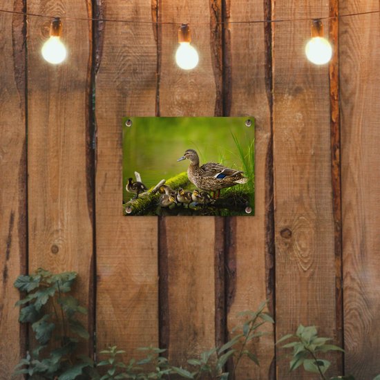 Décoration de Jardin Canard - Vogels - Water - Branche - Mousse - 40x30 cm