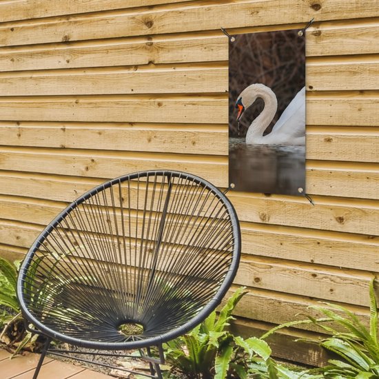 Affiche de jardin Cygne - Water - Animaux - Vogel - 30x60 cm - Toile de jardin - Poster extérieur