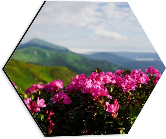 Dibond Hexagon - Roze Bloemenstruik met Uitzicht over Berggebied - 30x26.1 cm Foto op Hexagon (Met Ophangsysteem)