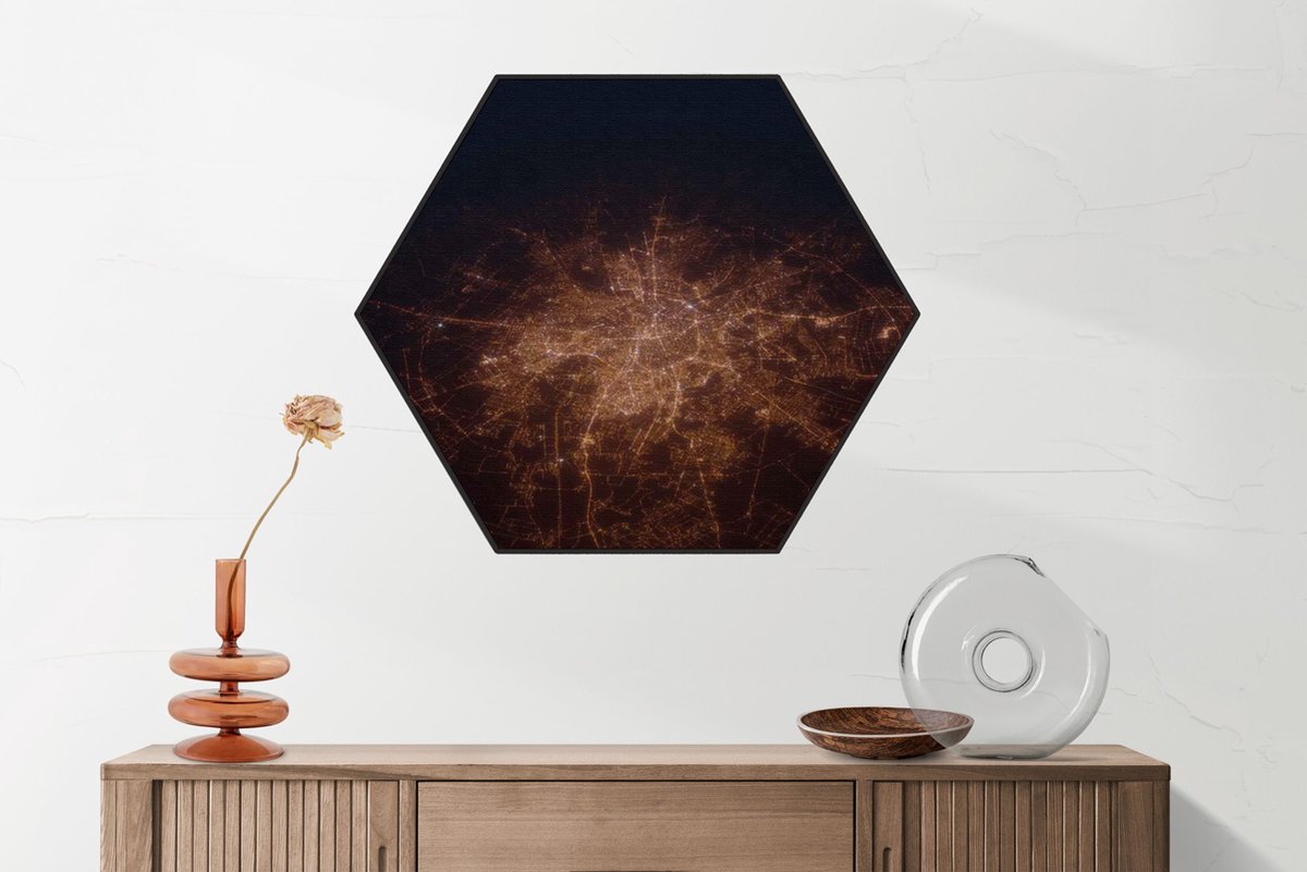 Tableau Acoustique The Wild Bizon Hexagon Basic L (100X86.6