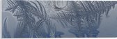 Acrylglas - Bevroren Vogel Veren - 60x20 cm Foto op Acrylglas (Wanddecoratie op Acrylaat)
