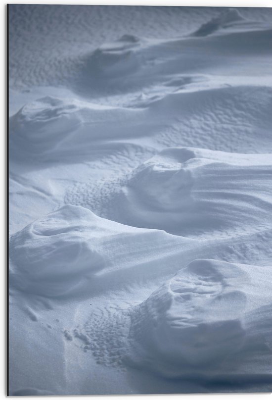 Dibond - Hoopjes Sneeuw in Sneeuwveld - 50x75 cm Foto op Aluminium (Met Ophangsysteem)