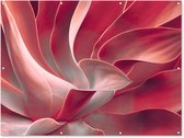 Muurdecoratie buiten Stilleven - Bladeren - Plant - Roze - 160x120 cm - Tuindoek - Buitenposter