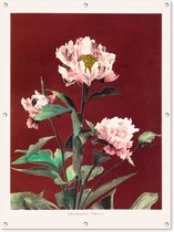 Tuinposter - Tuindoek - Tuinposters buiten - Bloemen - Planten - Kleuren - Rood - Vintage - 90x120 cm - Tuin
