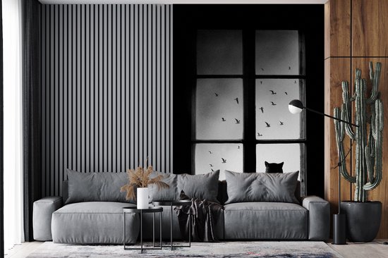 Kat - Dieren - Zwart wit - Raam