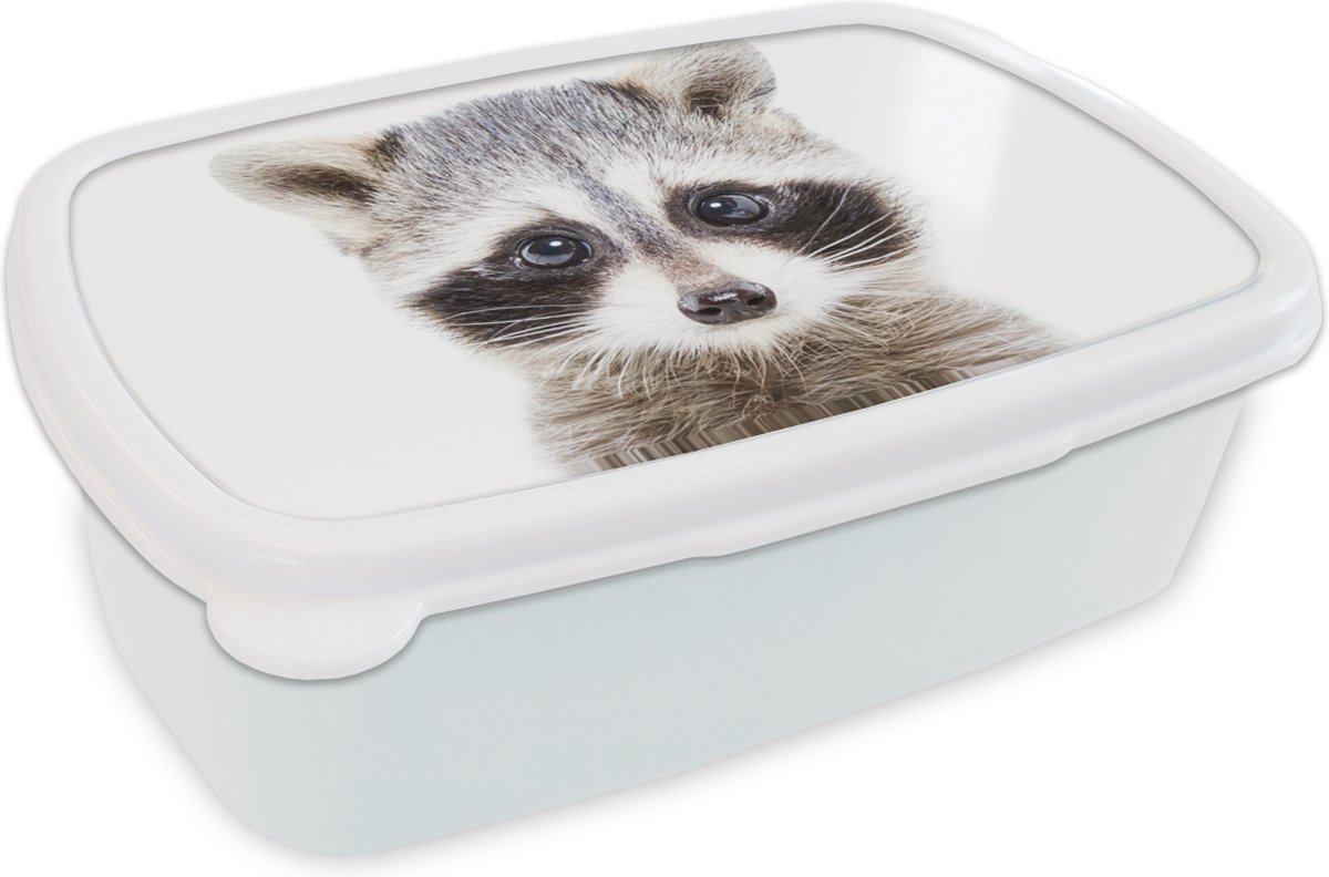Broodtrommel Wit - Lunchbox - Brooddoos - Wasbeer - Dieren - Natuur - Wit - 18x12x6 cm - Volwassenen