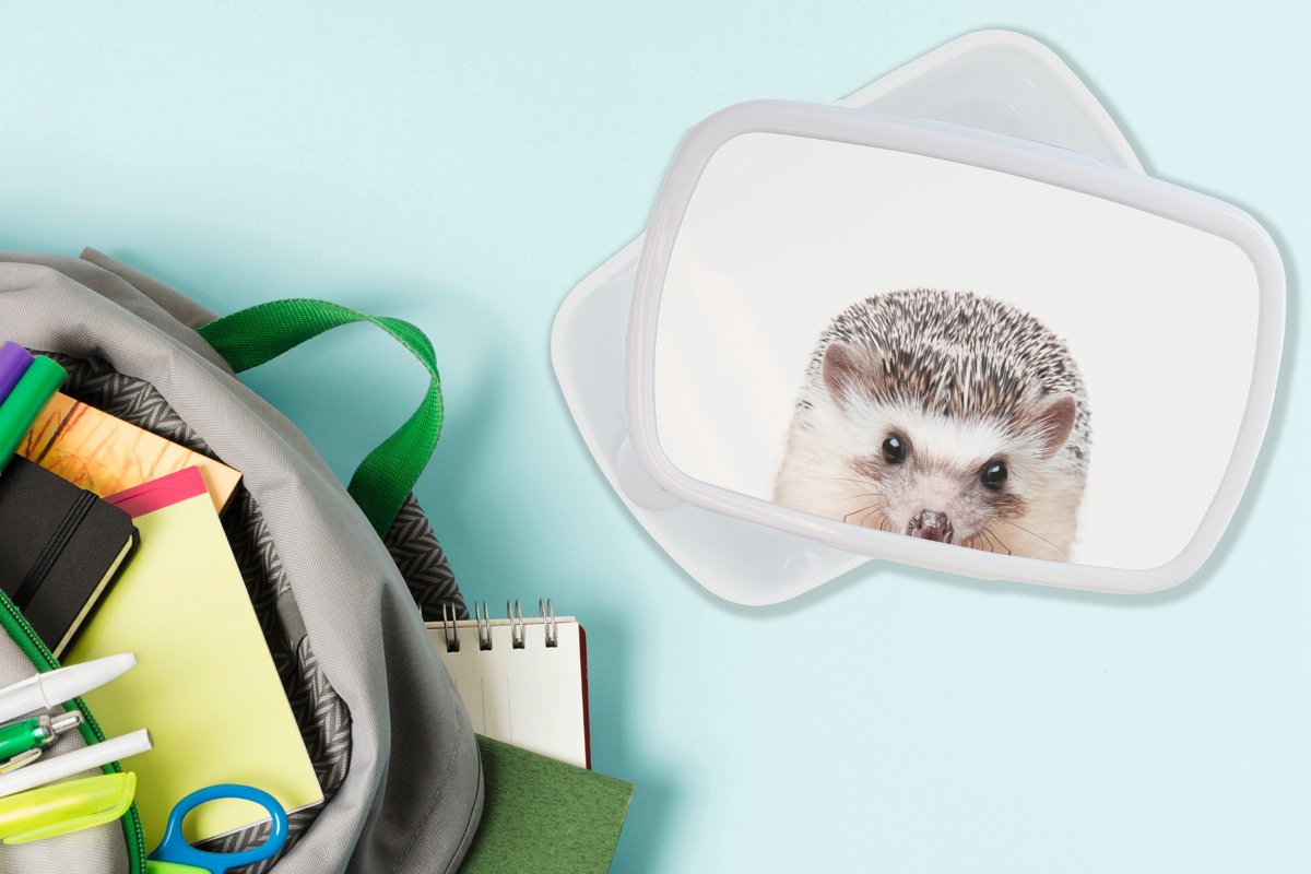 Broodtrommel Wit - Lunchbox - Brooddoos - Egel - Dieren - Natuur - Wit - 18x12x6 cm - Volwassenen