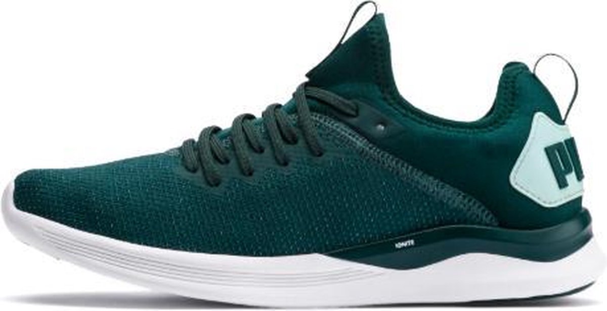 Puma Ignite Flash EvoKNIT SR Wm's groen sneakers dames (192457-01) | bol.com