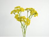 Kunstbloem Achilea tak geel | 2 stuks | Zijden bloemen | 70 cm