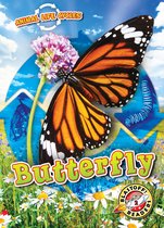 Animal Life Cycles - Animal Life Cycles: Butterfly