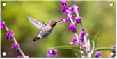 Tuinposter - Vogel - Kolibrie - Bloemen - Planten - Paars - 60x30 cm - Tuinposter bloemen - Wanddecoratie - Tuindecoratie - Tuindoek - Buitenposter