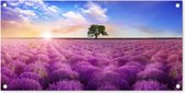 Poster de jardin Lavande - Arbre - Coucher de soleil - Violet - 80x40 cm - Décoration murale - Poster de jardin - Toile de jardin - Poster de clôture - Peinture de jardin