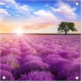 Tuinposters Lavendel - Boom - Zonsondergang - Paars - 50x50 cm - Tuindoek - Buitenposter
