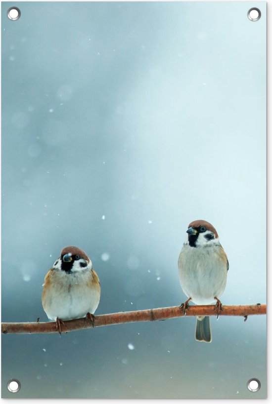 Tuinposter vogels - Mus - Dieren - Sneeuw - Natuur - Winter - Schutting decoratie - Tuin - Schuttingdoek - 40x60 cm - Tuindoek - Tuindecoratie - Tuinschilderij voor buiten - Buitenposter