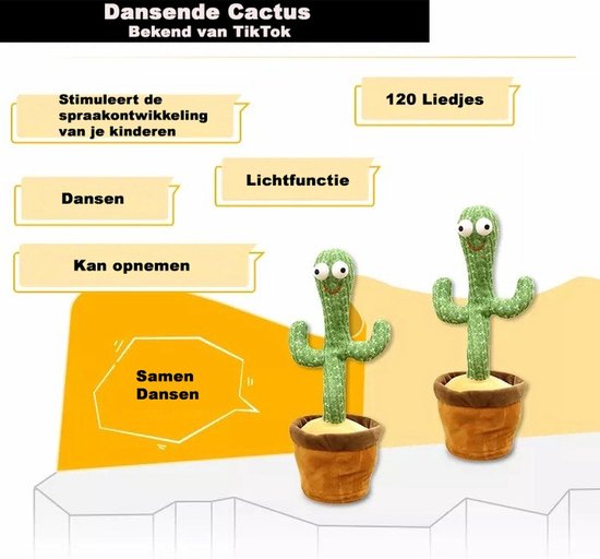 kanarischer drachenbaum überwintern Dracaena Draco XL 220cm, kanarischer Drachenbaum – toskanagartenshop main image 0