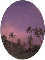 Dibond Ovaal - Palmbomen onder de Paarse Lucht - 51x68 cm Foto op Ovaal (Met Ophangsysteem)