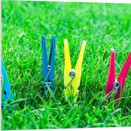 PVC Schuimplaat - Gekleurde Wasknijpers in het Gras - 80x80 cm Foto op PVC Schuimplaat (Met Ophangsysteem)