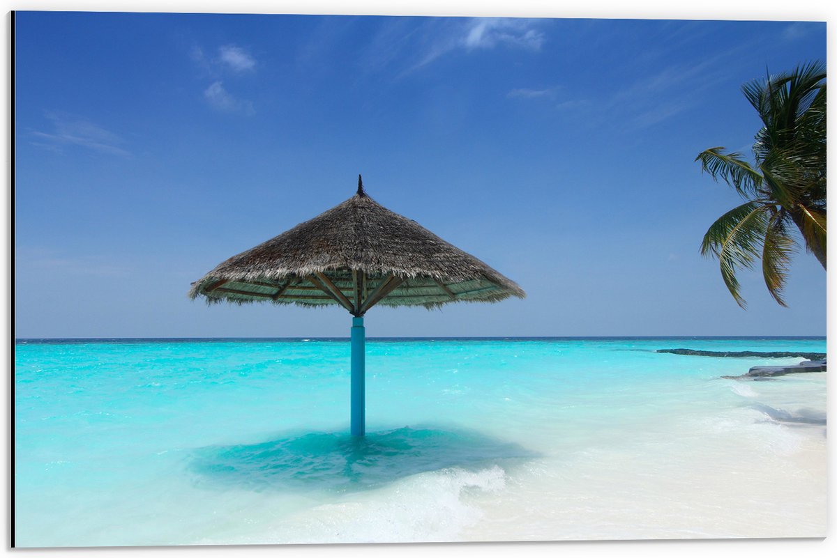 Dibond - Rieten Parasol op het Strand bij het Blauwe Water - 60x40 cm Foto op Aluminium (M