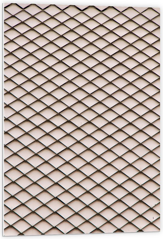 PVC Schuimplaat - Visnet Patroon van Zwart op Beige - 60x90 cm Foto op PVC Schuimplaat (Met Ophangsysteem)