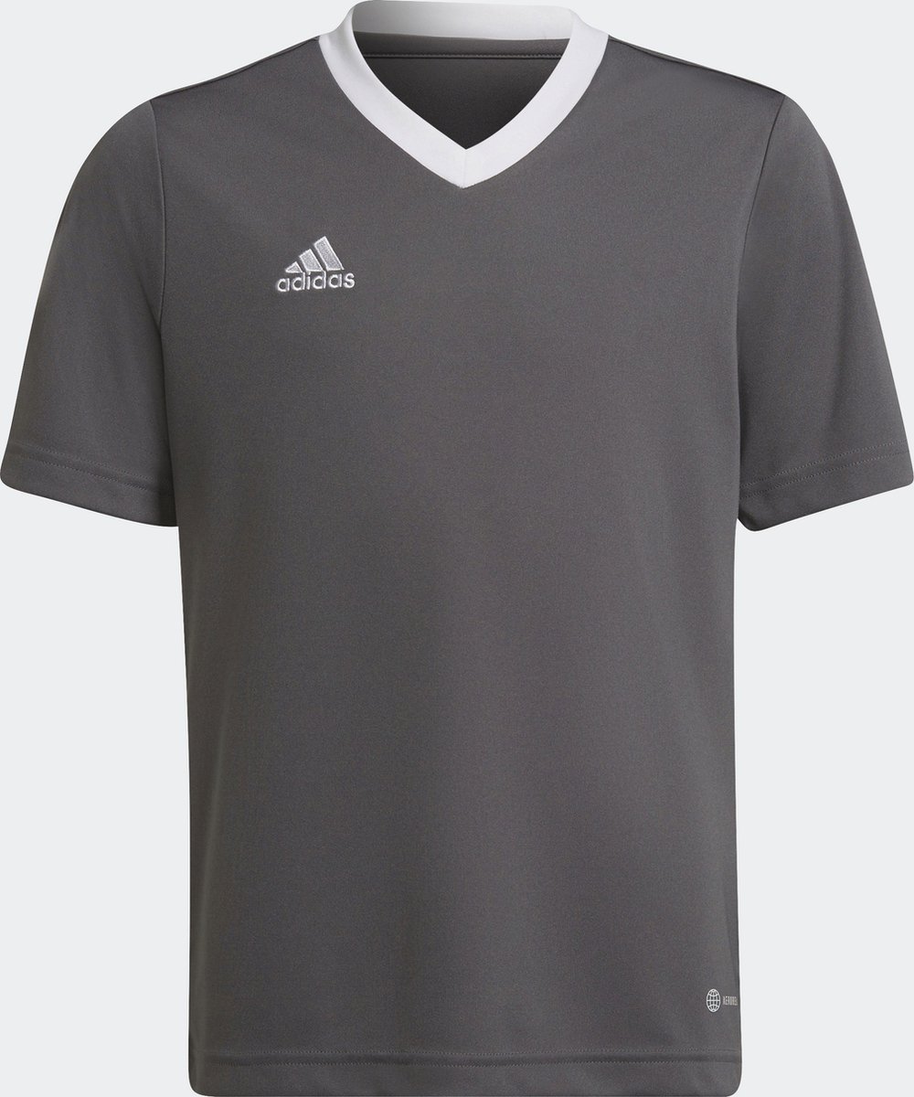 adidas Performance Entrada 22 Voetbalshirt - Kinderen - Grijs - 164