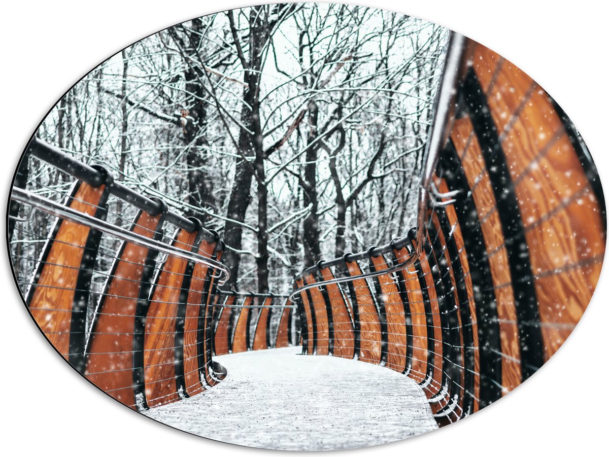 Dibond Ovaal - Hekwerk in Ondergesneeuwd Bos - 68x51 cm Foto op Ovaal (Met Ophangsysteem)
