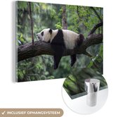 MuchoWow - Glasschilderij - Foto op glas - Wanddecoratie - Panda - Boom - Natuur - Muurdecoratie - 90x60 cm - Schilderij glas - Acrylglas