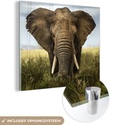 Peinture sur verre éléphant - Herbe - Animaux - Paysage - Décoration murale - Décoration de chambre - 50x50 cm - Décoration murale verre - Peinture verre - Décoration murale salon