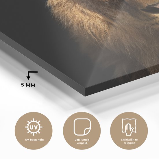 Peinture sur verre - Verre acrylique - Lion - Zwart - Animal - Décoration murale - Peinture sur verre - 150x100 cm - Photo sur verre